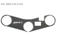 Προστατευτικό τριών επιβατών PPSK16P/PR3153 KAWASAKI ZX9R 2000-2003.