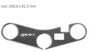 Protector for three-passenger PPSK16P/PR3153 KAWASAKI ZX9R 2000-2003.