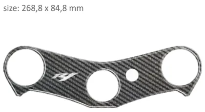 Protector for three-passenger PPSY14P/PR3126 YAMAHA R1 2007-2008.