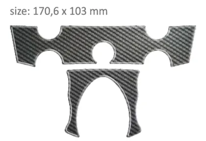 Protector for three-passenger PPSY2P/PR3138 YAMAHA FZ6/FZ6S 2007-2014.