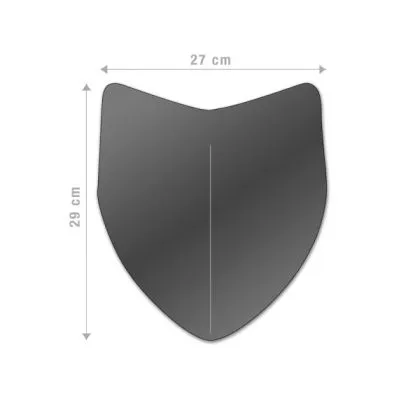 MOTORCYCLE SPORT MICA AEROSPORT Honda Hornet 600 2007-10