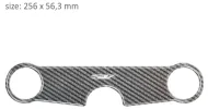 Protector for three-passenger PPSS9P/PR3192 SUZUKI SV 650 S before 2002