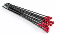 Spokes KITE SPOKES 21FR BK /RE NIP 12PC Black/Red