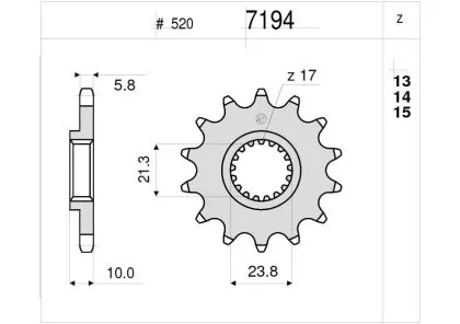 Front sprocket (pinion) TROFEO 367194Z13
