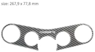 Protector for three-passenger PPSS3P/PR3186 SUZUKI GSR 750 2011-2014.
