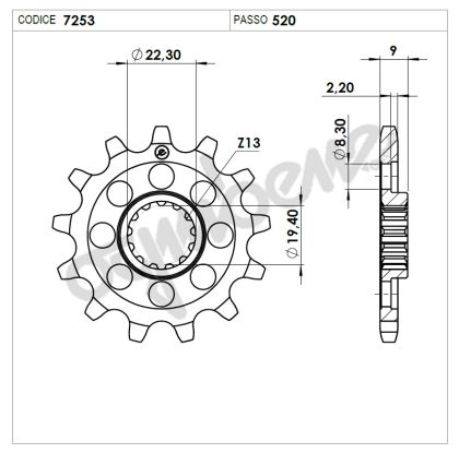 Front sprocket (pinion) TROFEO 367253Z13
