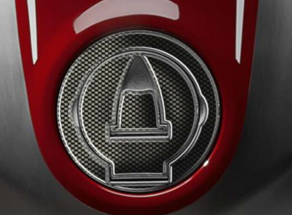 PTGSD2P/PR3094 DUCATI cap protector from 2009