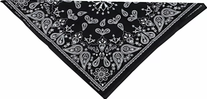 Batic COTTON BK PAISLY