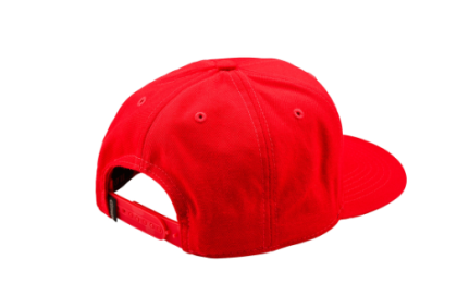 Шапка TROY LEE DESIGNS Curved Snapback Stamp - RED