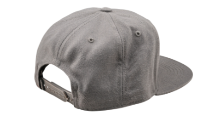 Шапка TROY LEE DESIGNS Flat Bill Snapback Factory - GREY