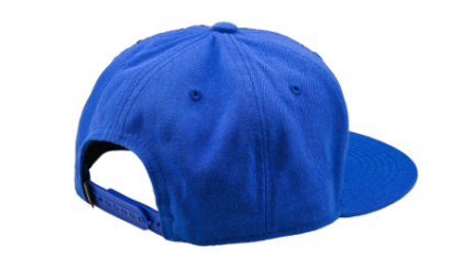 Шапка TROY LEE DESIGNS Flat Bill Snapback Signature - BLUE