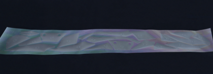 Protector foil R&G RACING Second Skin - Transparent Triumph Speed Triple 1200 RR 22-24