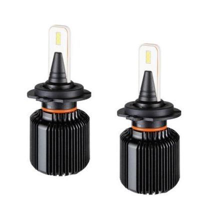 Halogen bulbs BLADE - H7 - 9-32V - 12 LED - 20W (2 pieces)