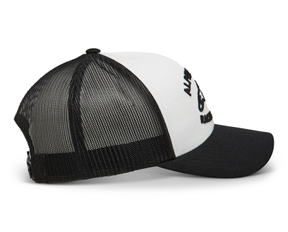 Шапка ALPINESTARSTRIPLE WHT/BLK