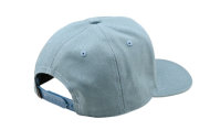 Шапка TROY LEE DESIGNS Curved Snapback Stamp - BLUE