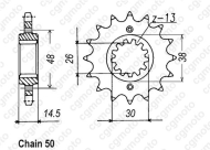 Chain and sprocket set REGINA HONDA CBR1100XX 97-05