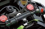 Προστατευτικό πιρουνιού ZX-10R ONEDESIGN PPSK19P