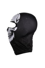 Căciulă ICE2 ART SCULL