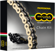 Chain and sprocket set REGINA YAMAHA XJ6 N