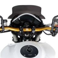 BARRACUDA GUINDON RACING GOLD