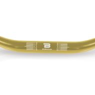 BARRACUDA GUINDON RACING GOLD