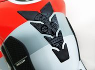 Skull tank protector